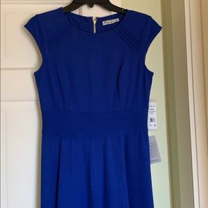 NWT , Eliza J Fit and Flare Dress.